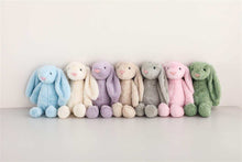 Load image into Gallery viewer, *PRE-ORDER* Personalized Easter Bunnies